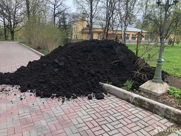 Грунт растительный сеяный