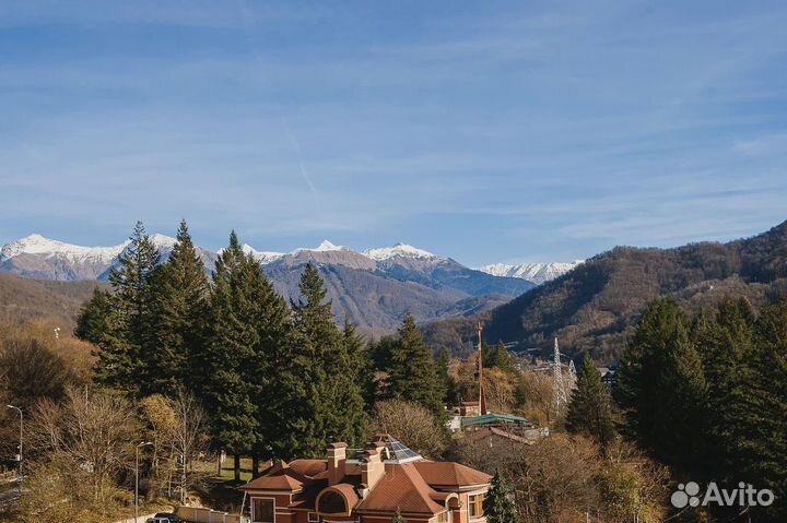 Круглогодичный арендный бизнес в Красной поляне