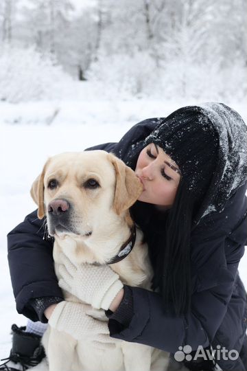 Передержка животных собаки/кошки
