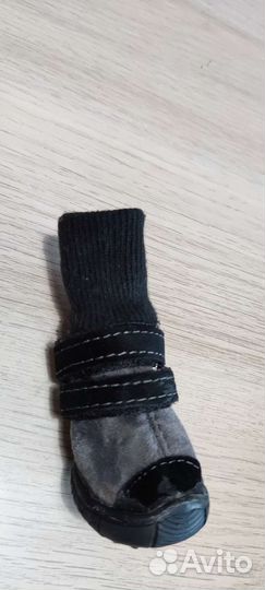 Обувь для собак