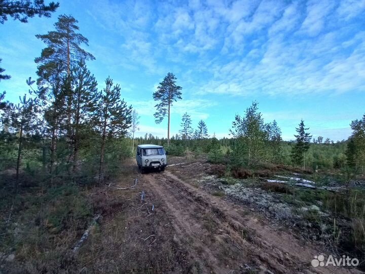 Услуги УАЗ буханка грузоперевозки