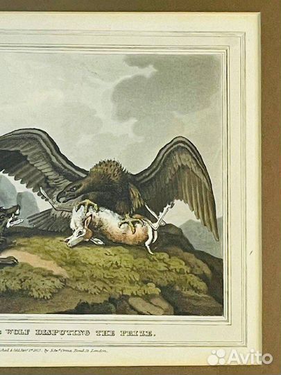 Винтажная гравюра