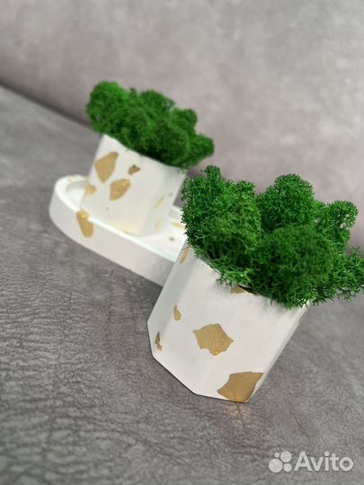 Набор кашпо со стабилизированным зеленым мхом