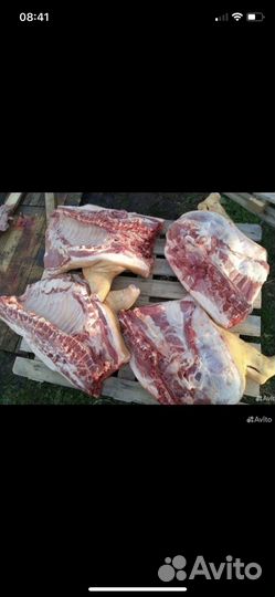 Продается мясо свинина говядина домашняя