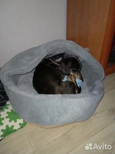 Лежанка для кошек и собак мелких пород