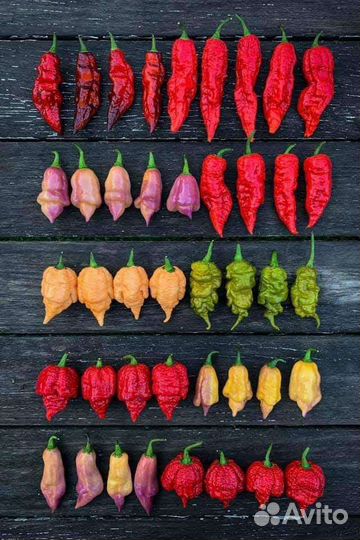 Семена острых перцев