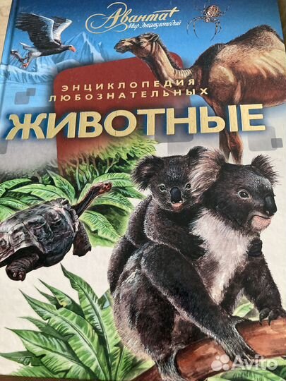 Книги научно популярные для детей, цена за 5 книг