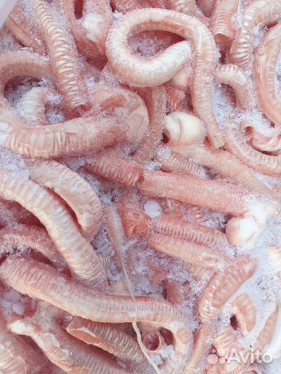 Корм для собак