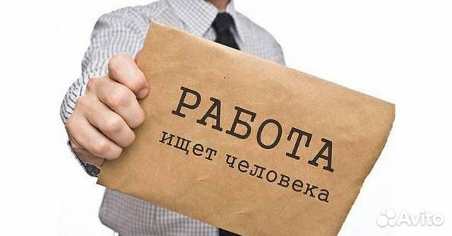 Начальник транспортного отдела