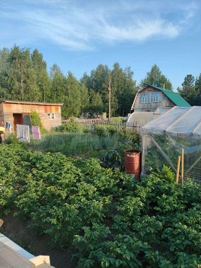 Дом 40 м² на участке 5 сот.