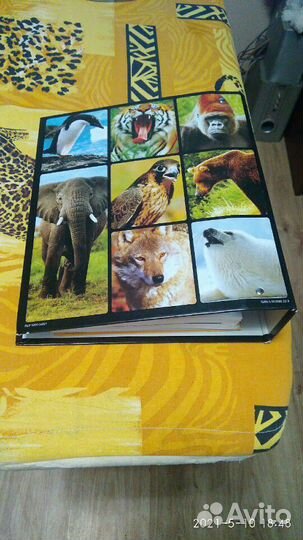 Книга Мир животных