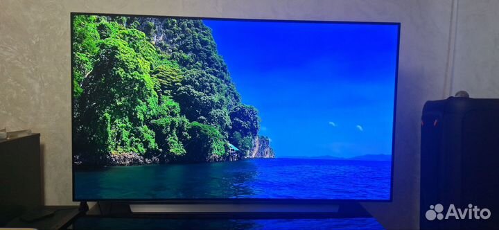 Lg oled 65 c1