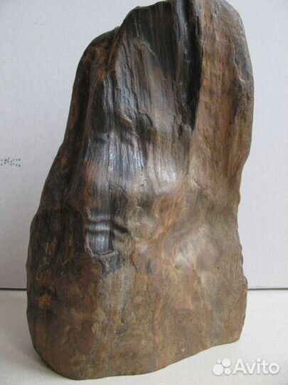 Окаменелое дерево (природная скульптура)