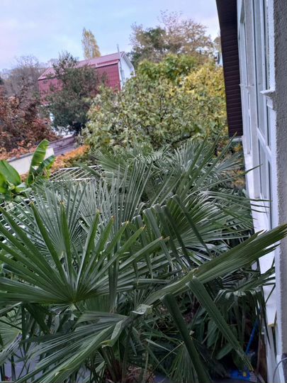 Комната 34 м², 1/1 эт.