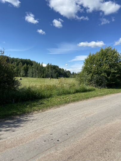 Участок 3 га (СНТ, ДНП)