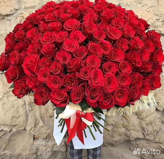 101 роза цветы букеты доставка 25 51 101 роза