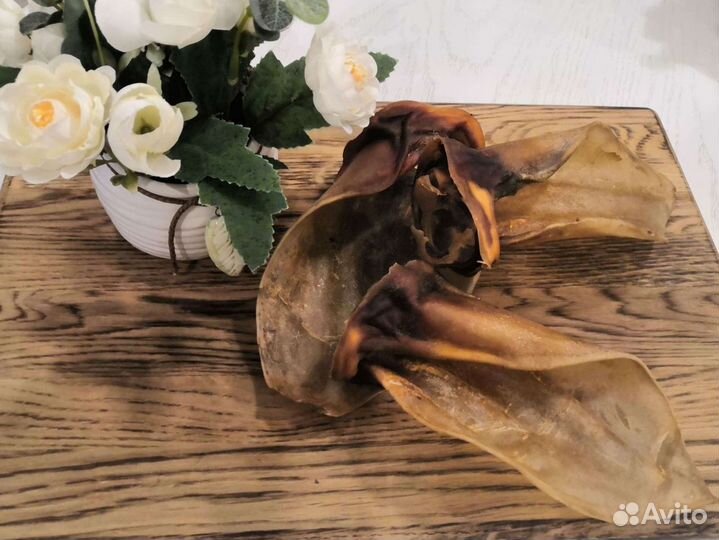 Лакомства для собак