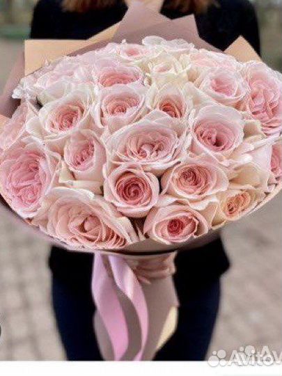 Роза Принц Жардиньер/ Пушкин