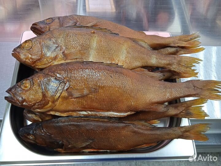 Копченая рыба, свежая рыба