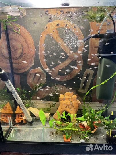 Рыбки пресноводн., аквариумная соль