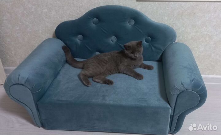 Диван для кошек и собак