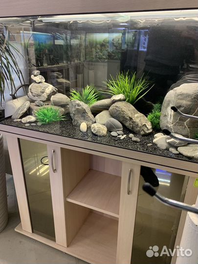 Аквариум