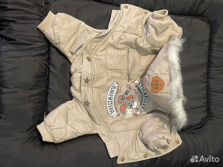 Одежда для собак