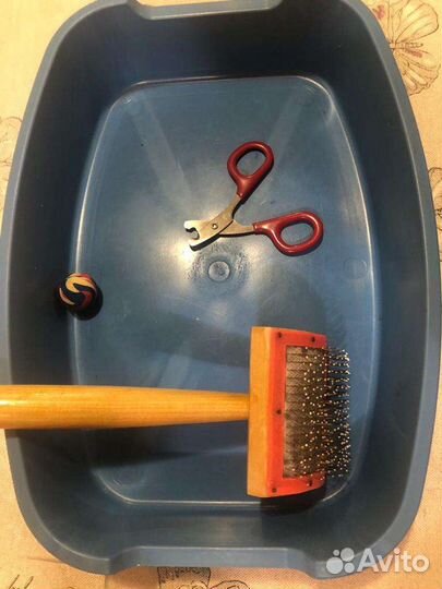 Кошачьи принадлежности