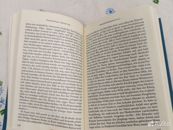 Hoffmann Nachtsucke 2006г