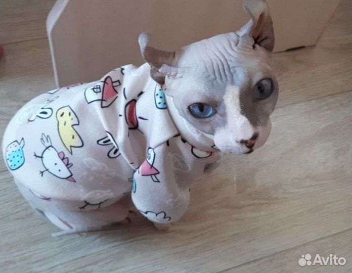 Канадский сфинкс вязка