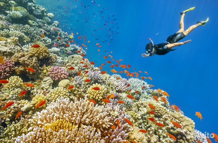 Турпоездка Египет на 6 нч. от. 5* все включено