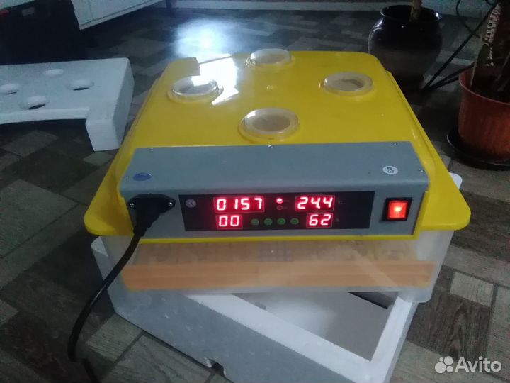 Инкубатор для яиц