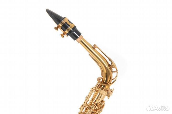 Саксофон альт Roy Benson AS-302