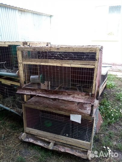 Клетки для бройлеров бу