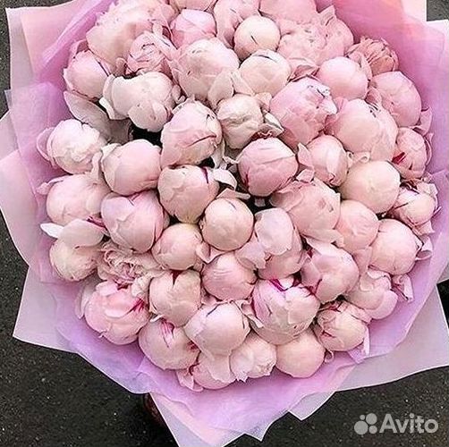 Пионы Букет