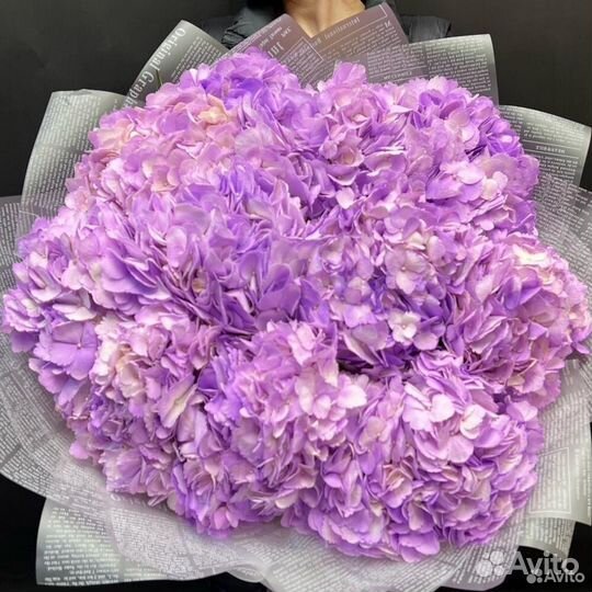 Букет из 11 фиолетовых гортензий