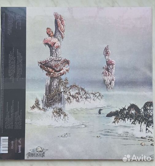 Виниловая пластинка Nazareth Hair of the dog