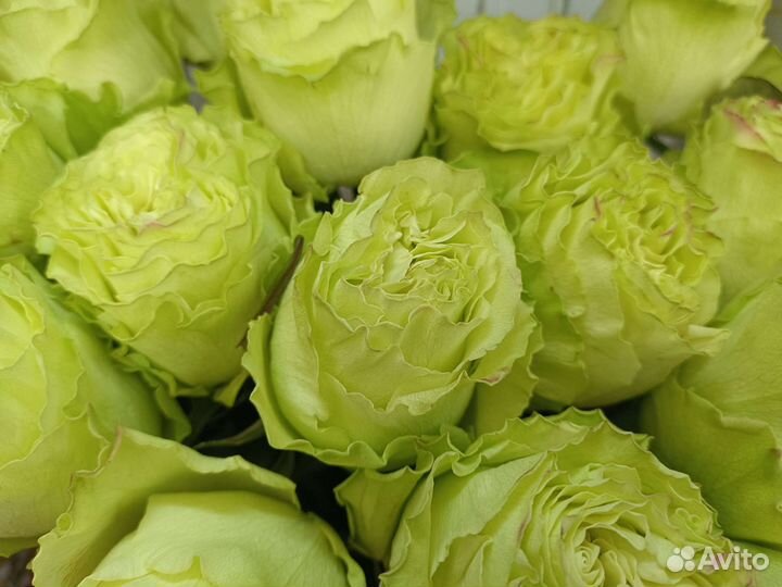 Доставка цветы и букеты, розы