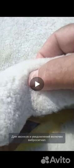 Продам выделенную овчину высота волоса 0.5 -1.0 мм