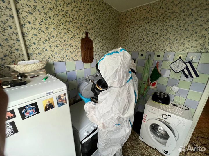 Дезинфекция, дезинсекция, дератизация