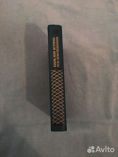 Юлия или встречи под новодевичьим