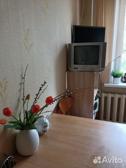 Телевизор samsung CS-14V10R