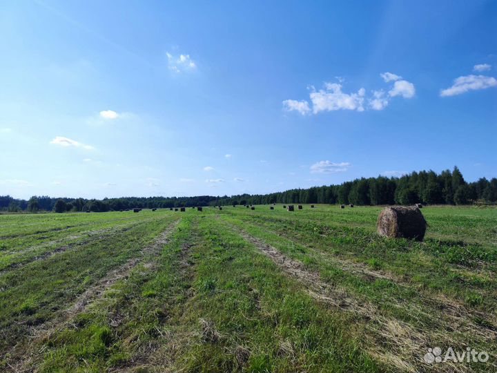 Сено в рулонах