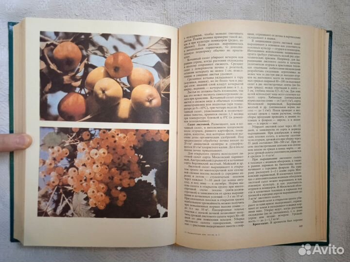 Энциклопедия домашнего хозяйства. Новые книги