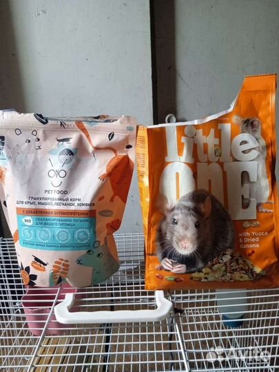 Клетка для грызунов бу