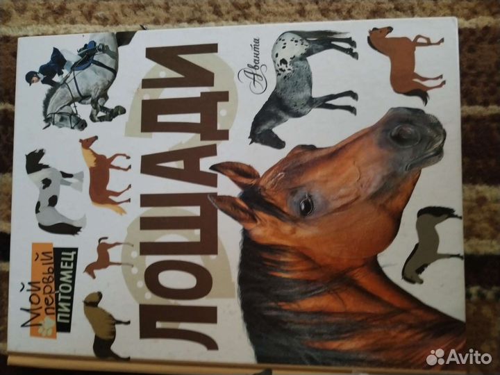 Книги и значок