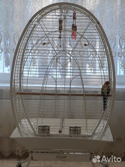 Клетка для крупного попугая