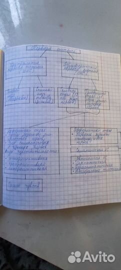 Перепишу лекции, конспекты от руки