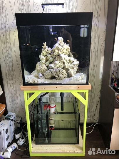Морской аквариум 150 литров