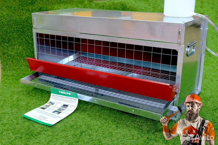 Клетка для кур-несушек кн-10 (10 голов)